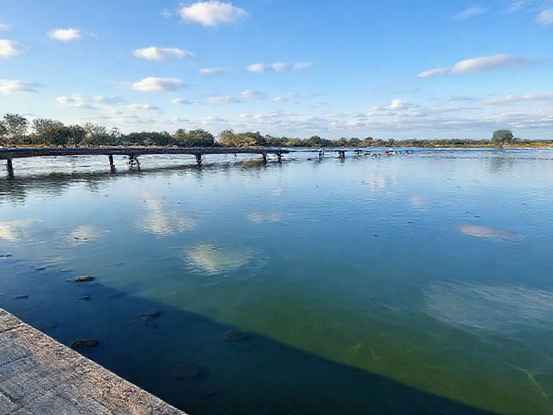 🤯 pokonali wszystko?! oto poco f8 pro i ultra z tężym udźwiękiem bose i... snapdragonem 8 elite gen 5!