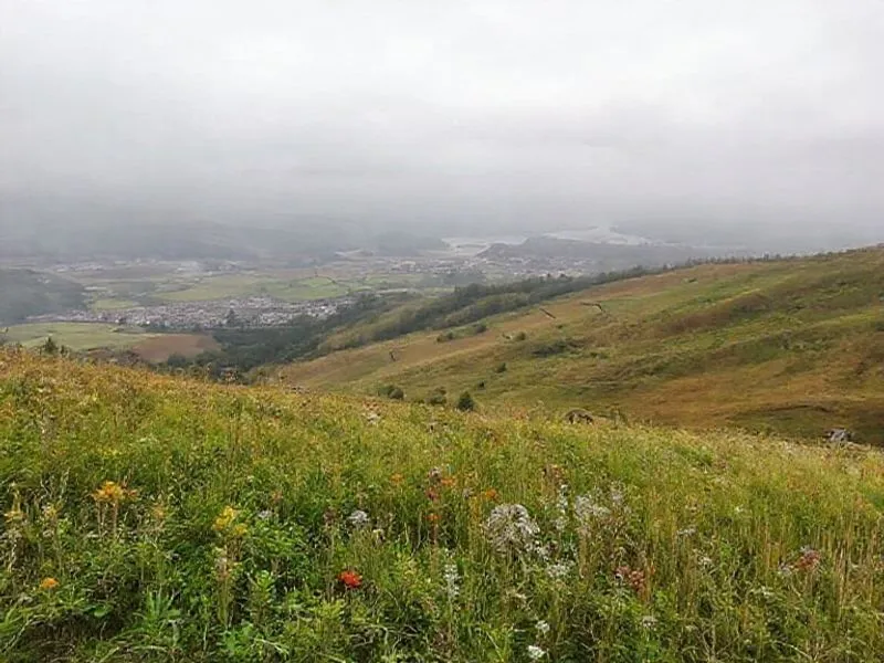 Oneplus 15r już u nas! czy to nowy król balansu między flagowcem a średniakiem?