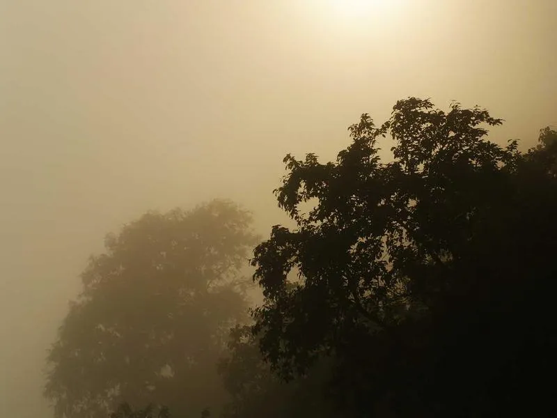 Data zamiast intuicji: Jak technologia Samsunga wspiera rekordzistów świata